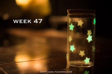 Week 47.jpg