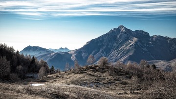 _DSC09912