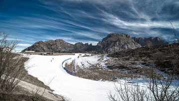 _DSC10012