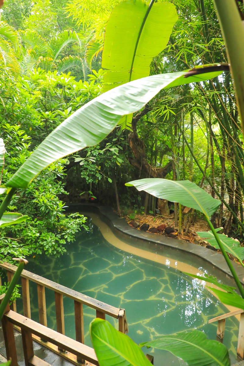 云南腾冲荷花温泉