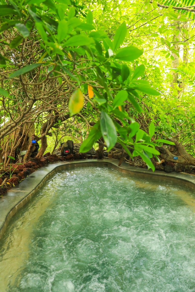 云南腾冲荷花温泉