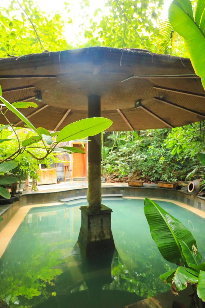 云南腾冲荷花温泉