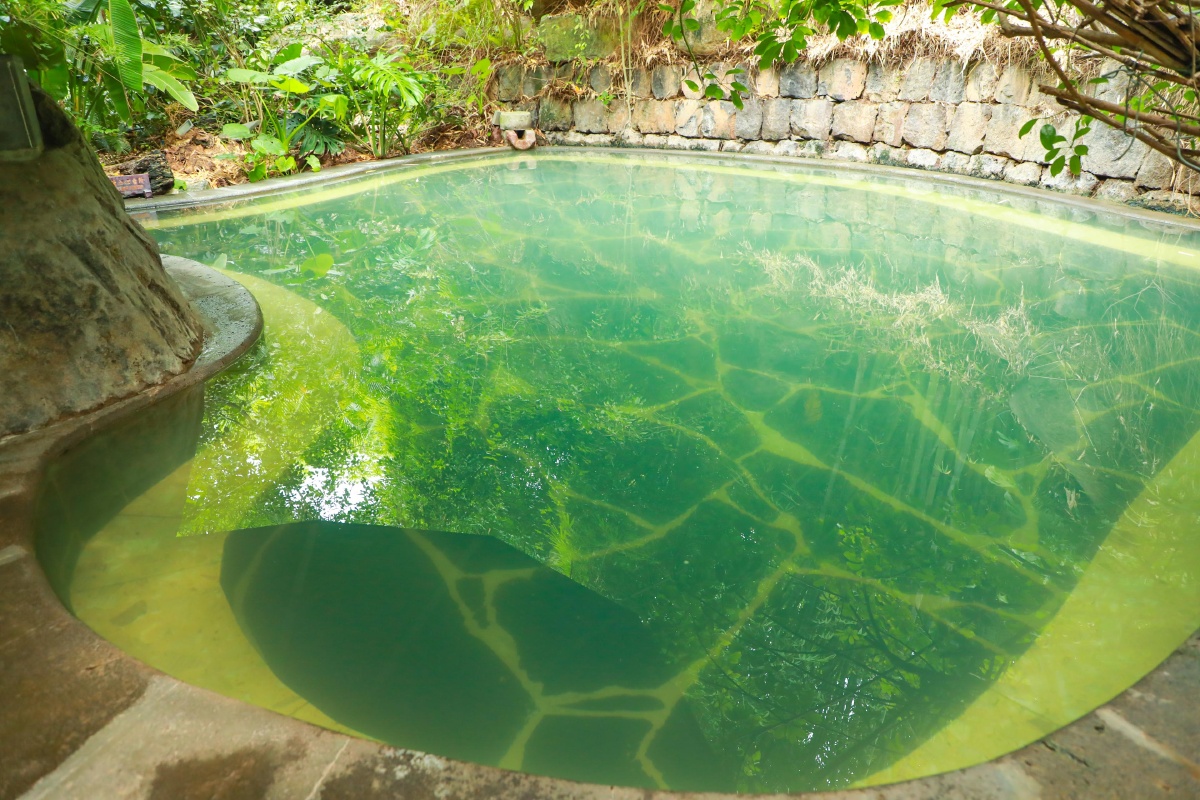 云南腾冲荷花温泉