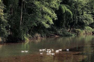P8073212