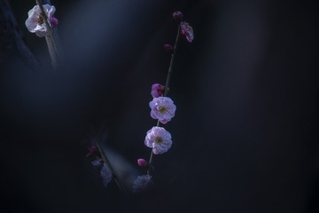 C69F6121-17DA-49B8-87A4-3D2CDBA7B7E3/L0/001