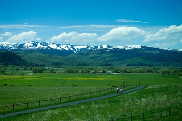 路边风景