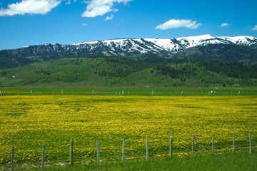 P6062661-1