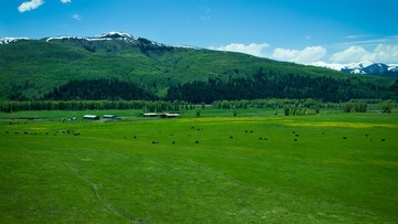 P6062712-1