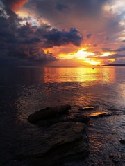 PA095984w