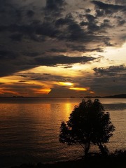 PA206140w