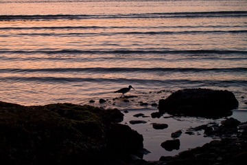 P1038212-1