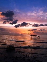 P1168514-1.jpg