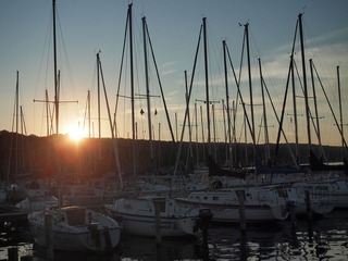 P7035580.JPG
