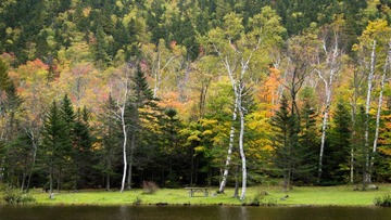 PA048165-1.jpg