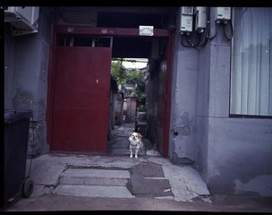 Batch Pict-1-0005.jpg