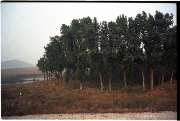 20111017-2-2-0001.jpg