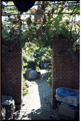 20111017-2-1-0017.jpg