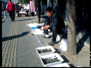 20111017-3-0002.jpg