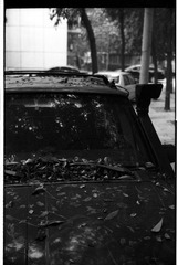 20111112-02-0021.jpg