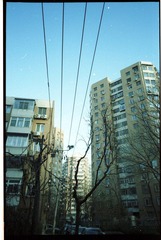 20111211-4-0005.jpg