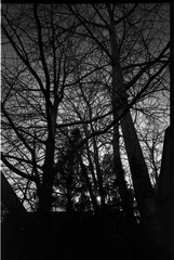 20120110-8 (4).jpg