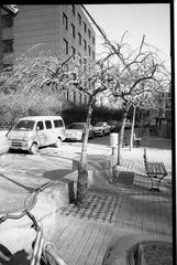 20120110-2-0005.jpg