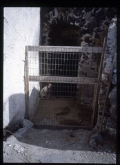 20120925-5-0001.jpg
