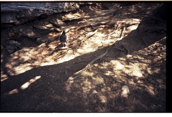 20120925-1-0014.jpg