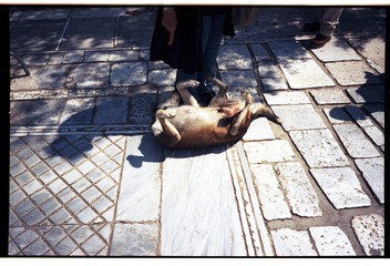 20120926-2-0016.jpg