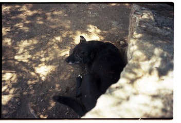20120926-3-0006.jpg