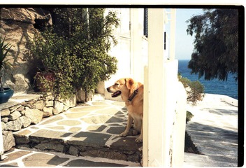 20121006-2-0012.jpg
