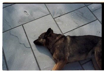 20121007-4-0015.jpg