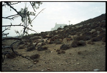 20121009-1-0009.jpg