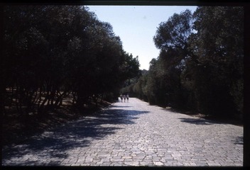 20121007-2-0007.jpg