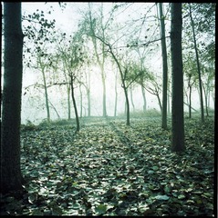 20121124-1-0004.jpg