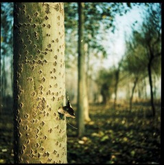 20121126-2-0002.jpg