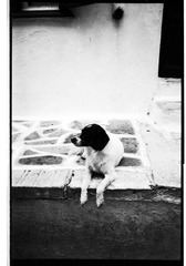 20130410 (10).jpg