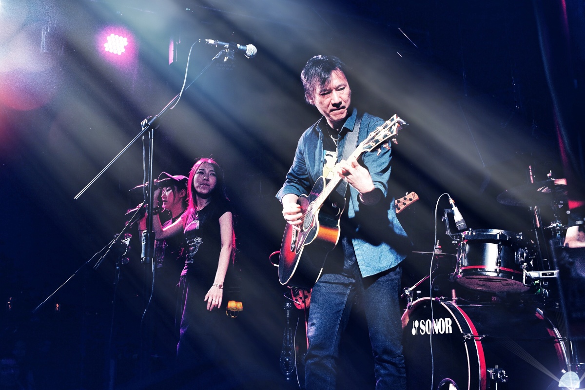 最爱条哥那首阳光中的向日葵