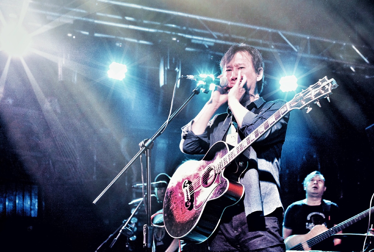 最爱条哥那首阳光中的向日葵