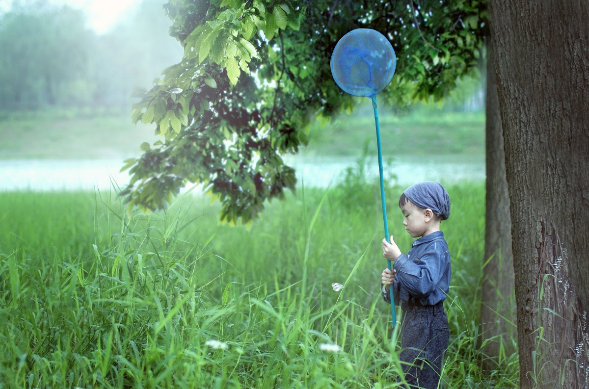 万物将展现出蓬勃生长的姿态