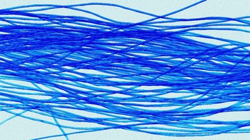 013BC1D2-F01B-4853-8AD7-83DE8D46C90A/L0/001