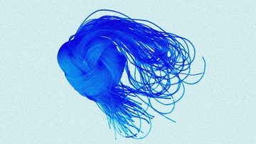0B9F8C64-027D-4339-B97E-3207455F56D8/L0/001