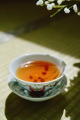 2F98F1FA-0AC8-439F-B791-B530FFD95B3B/L0/001