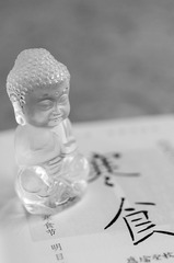 13D33EA1-20ED-407D-B296-3CA6DCE9338D/L0/001