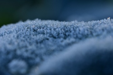 589009