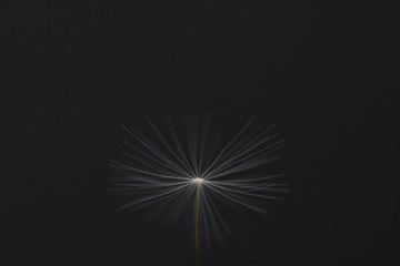 1000022716