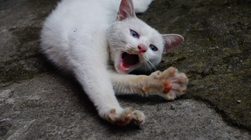 382965