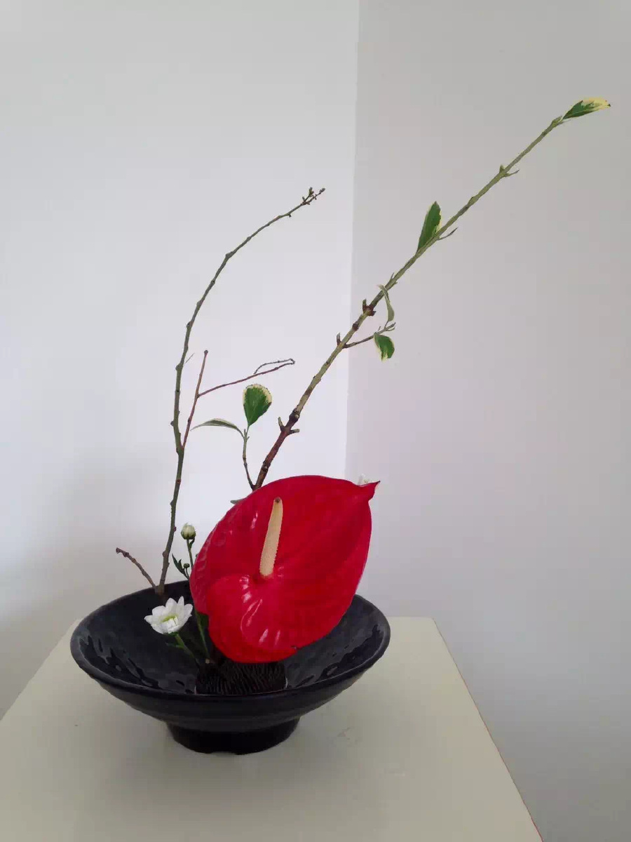 心跳日本小源流插花第一次习作