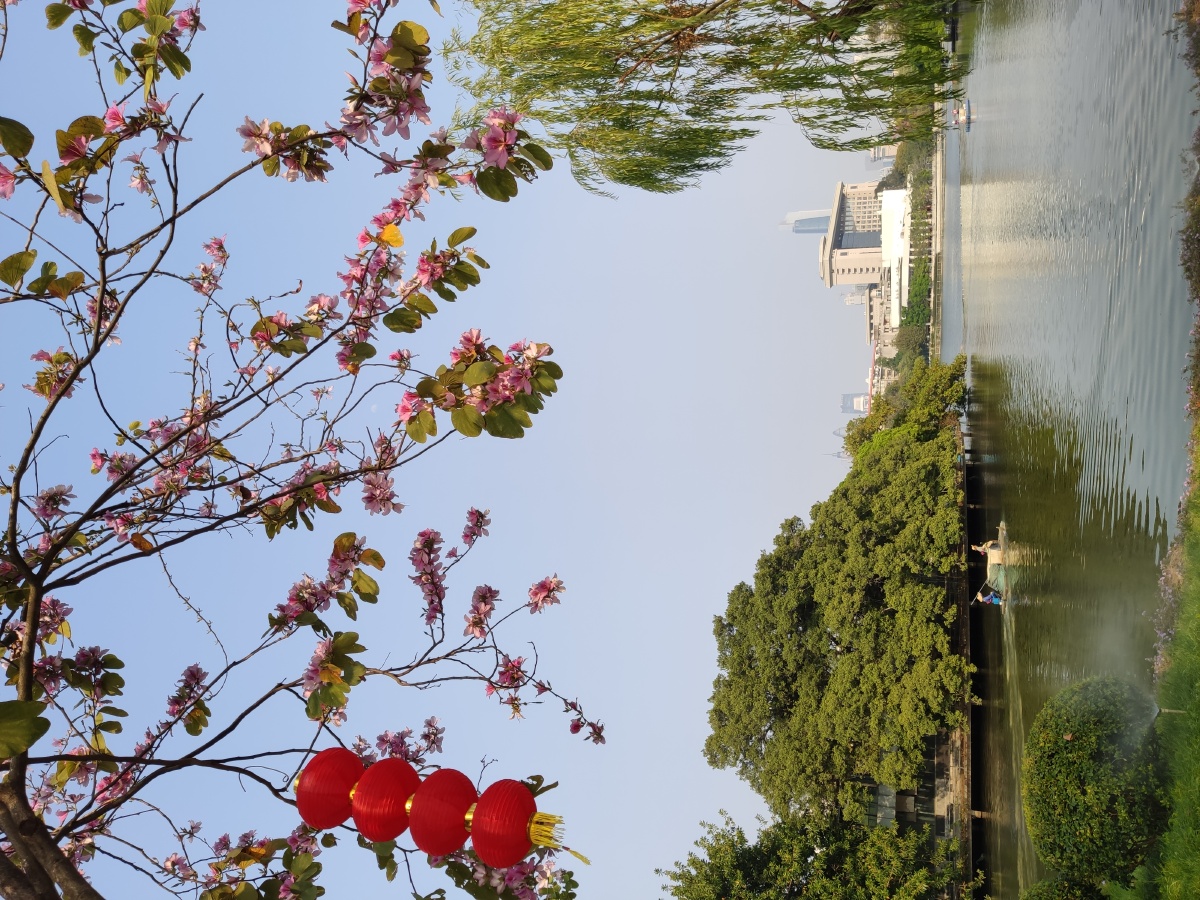 公园景观61广州东湖公园