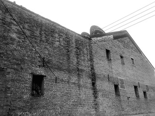 20111108421.jpg